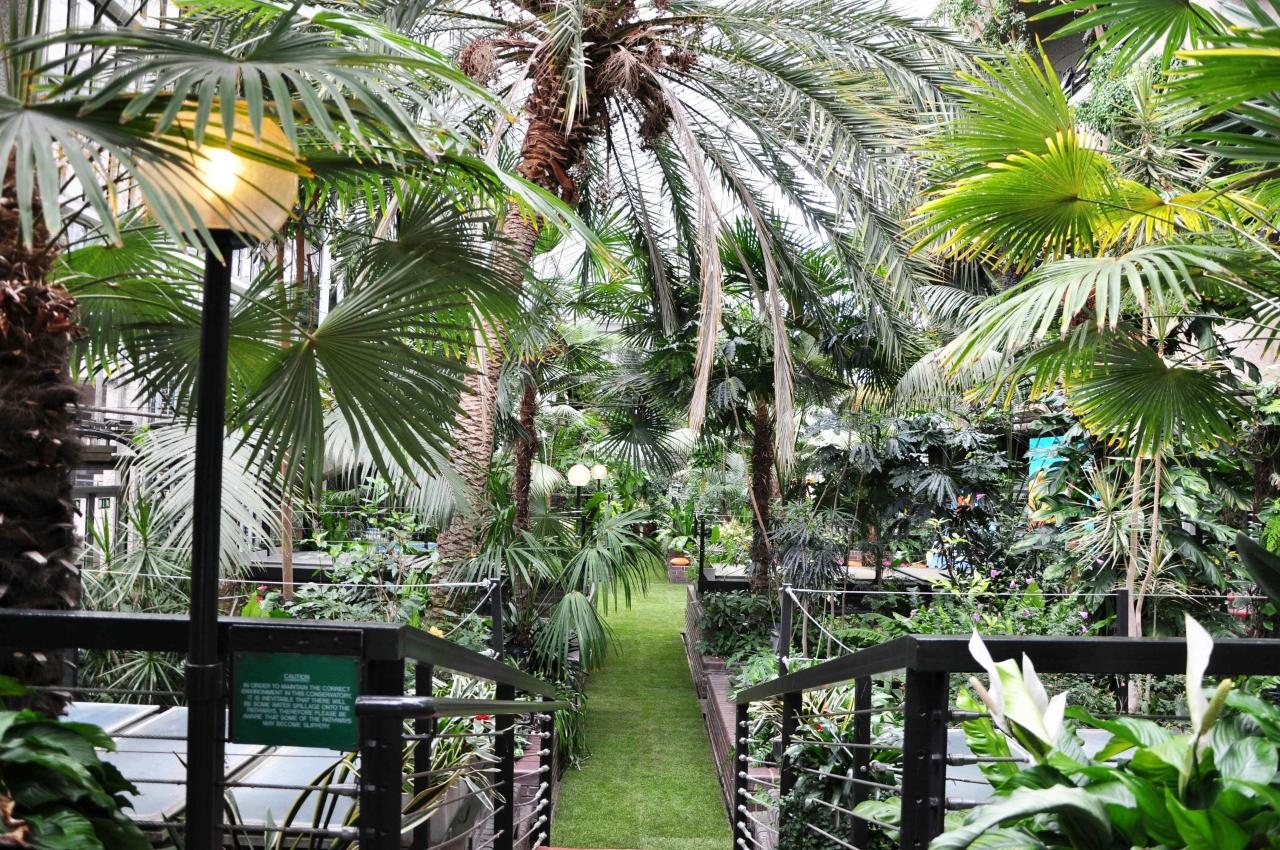 Barbican conservatory