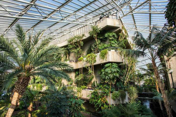 Barbican conservatory london worth